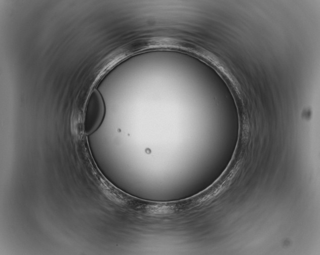 X0000100321145200806121058