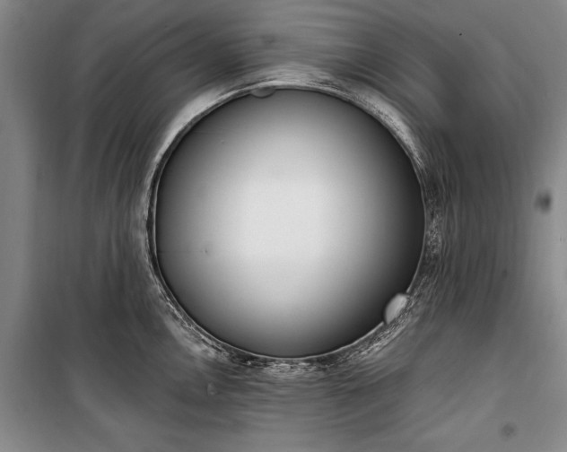 X0000100321146200806121058