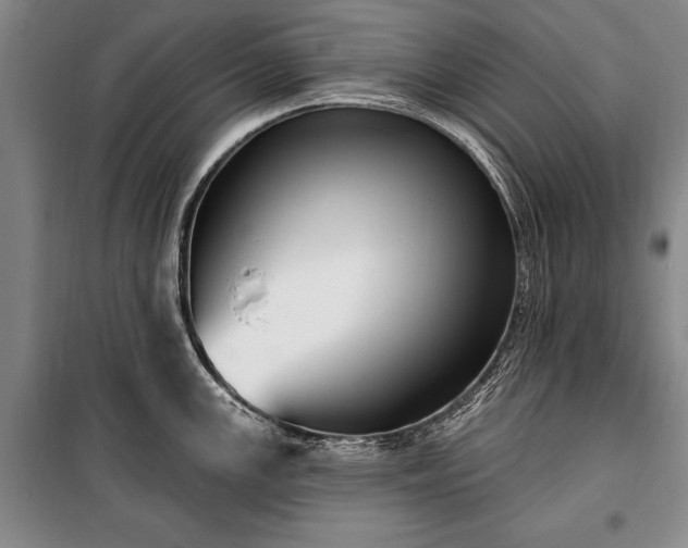 X0000100321147200806121058