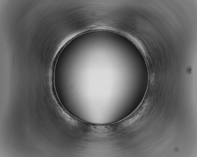 X0000100321149200806121058