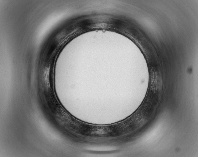 X0000100321150200806121058