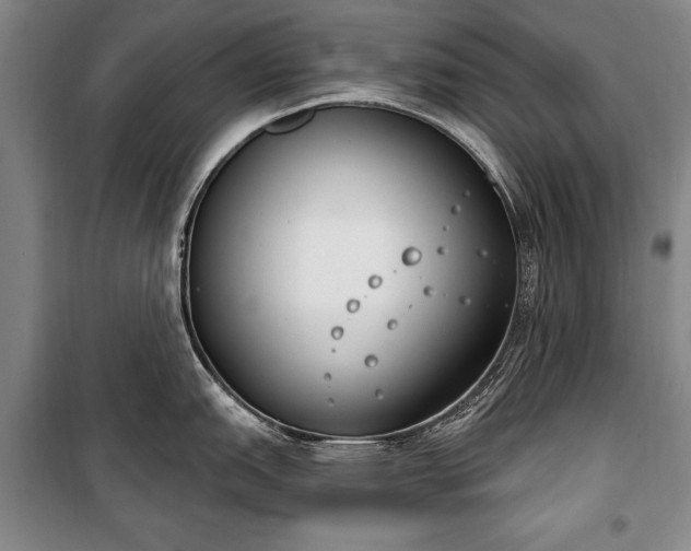 X0000100321151200806121058