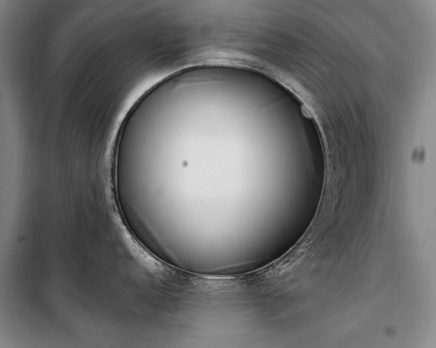 X0000100321152200806121058