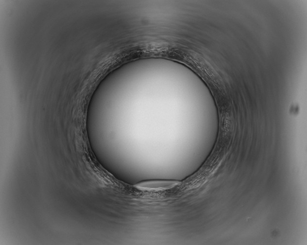 X0000100321153200806121057