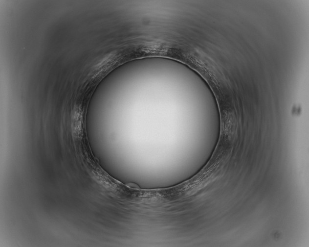 X0000100321154200806121057