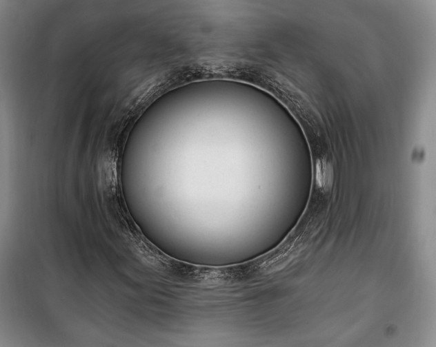 X0000100321155200806121057