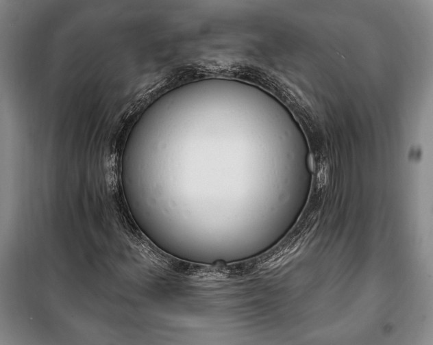 X0000100321156200806121057