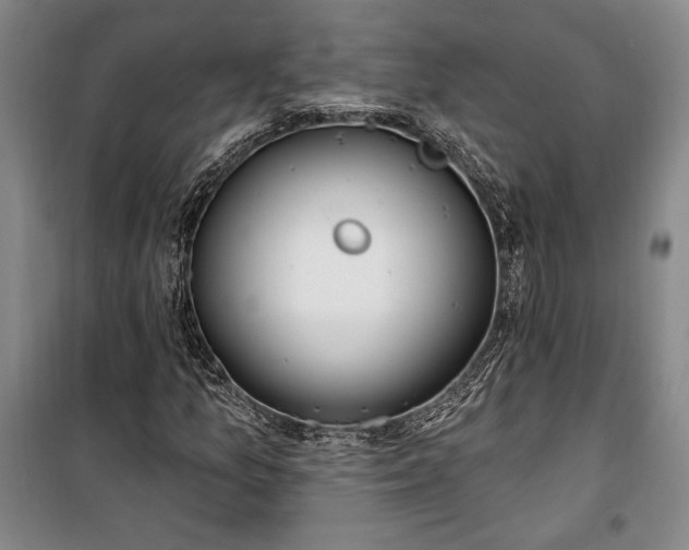 X0000100321157200806121057