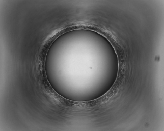 X0000100321159200806121057