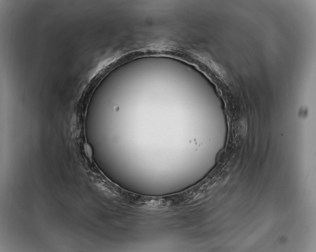 X0000100321160200806121057