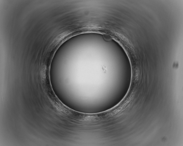 X0000100321161200806121057