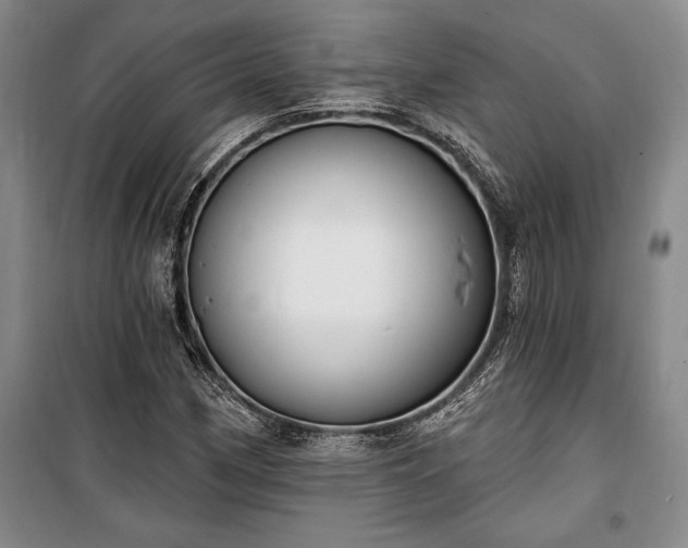 X0000100321162200806121057