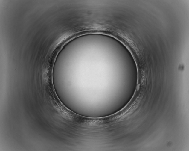 X0000100321163200806121057