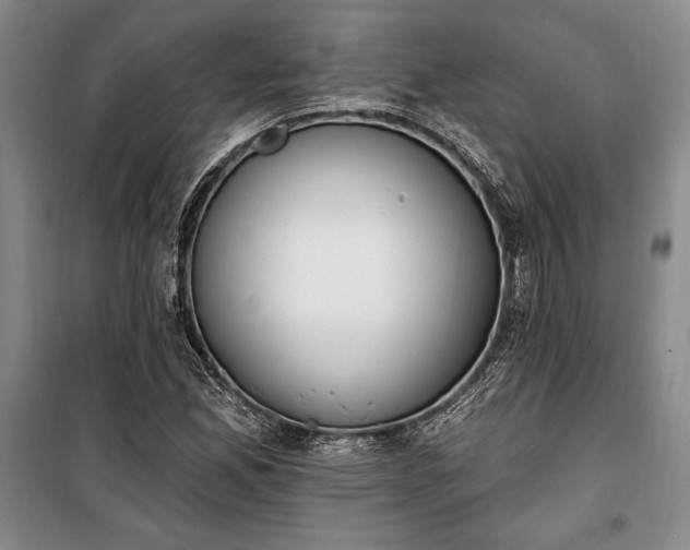 X0000100321165200806121057