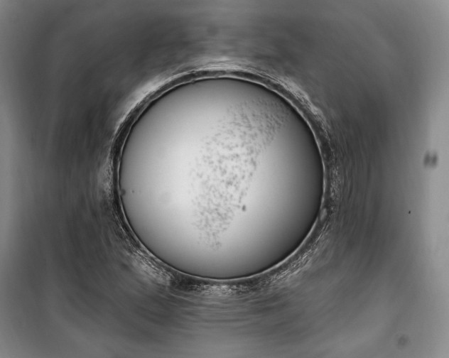 X0000100321167200806121057