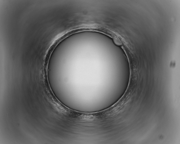 X0000100321168200806121057