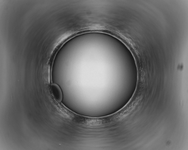 X0000100321171200806121057