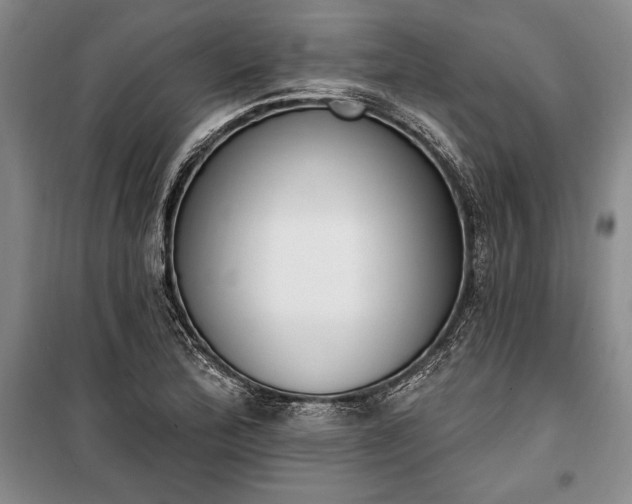 X0000100321172200806121057