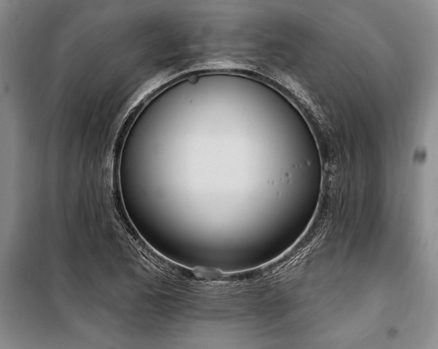 X0000100321173200806121057