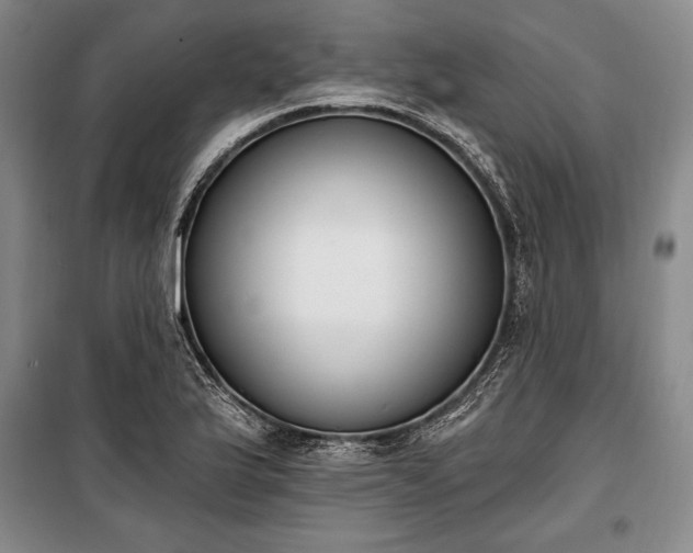 X0000100321175200806121057