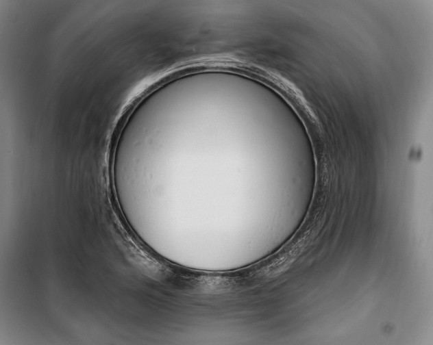 X0000100321176200806121057