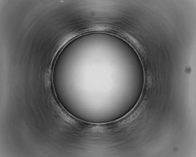 X0000100321178200806121057