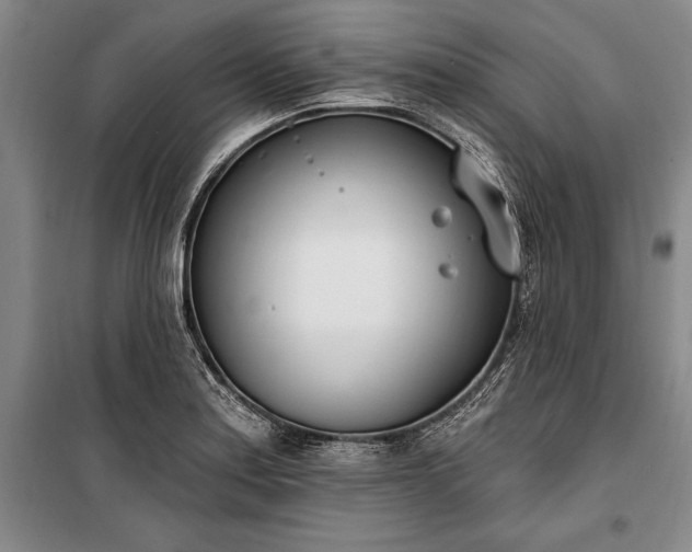 X0000100321179200806121057