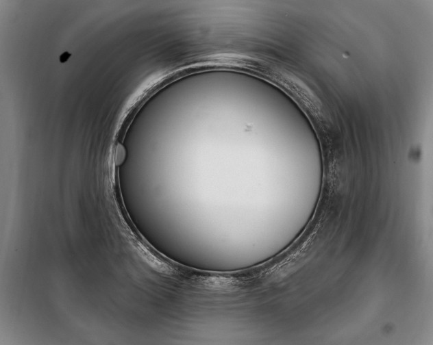 X0000100321180200806121057