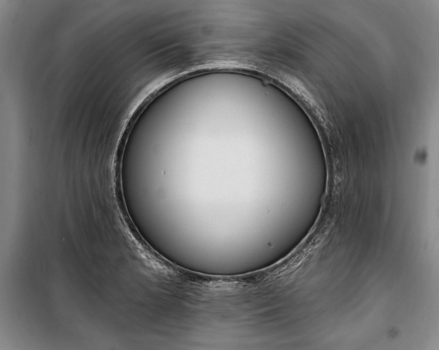 X0000100321181200806121057