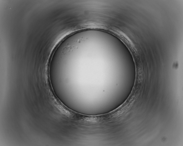 X0000100321182200806121057