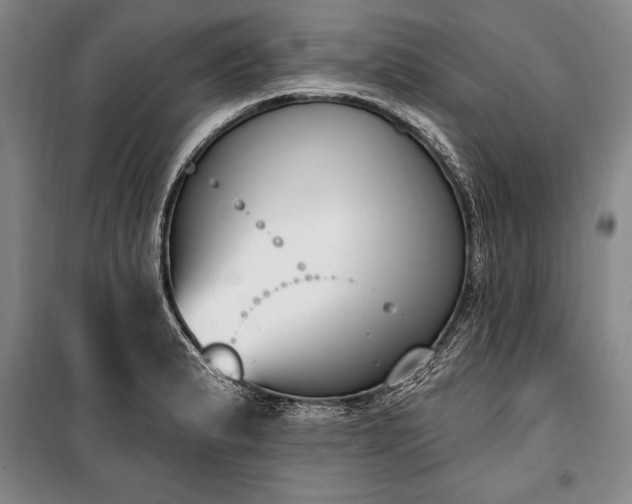 X0000100321183200806121057