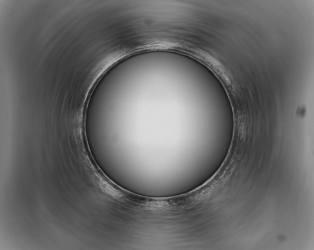 X0000100321186200806121057