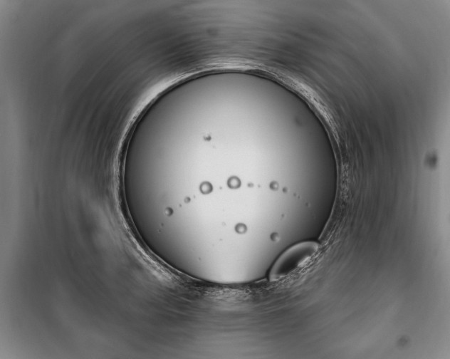 X0000100321187200806121057