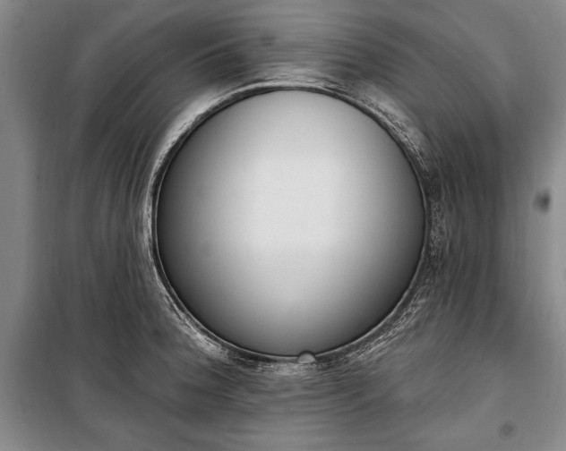 X0000100321188200806121057