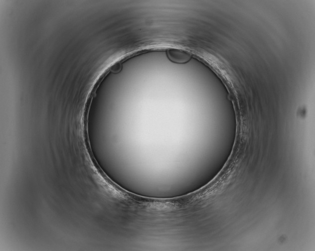 X0000100321189200806121056