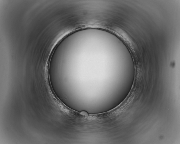 X0000100321190200806121056