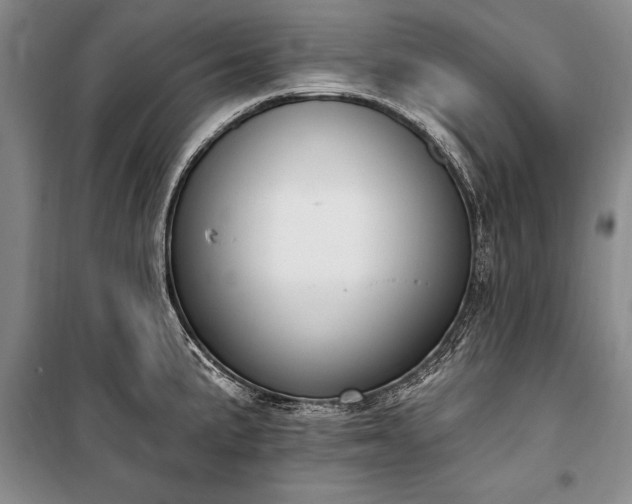 X0000100321191200806121056