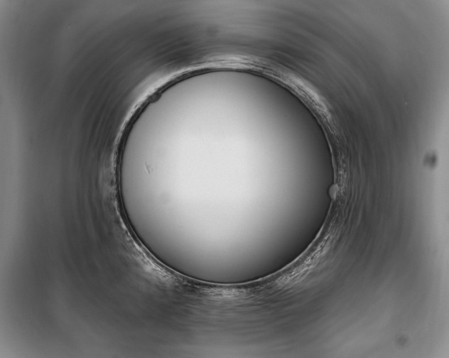 X0000100321192200806121056