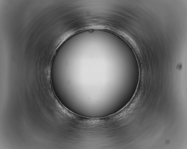 X0000100321193200806121056