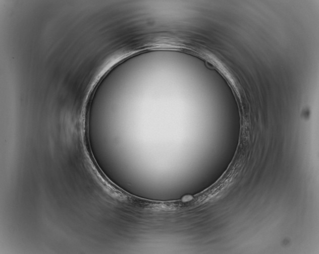 X0000100321195200806121056