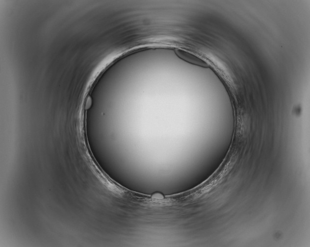 X0000100321196200806121056