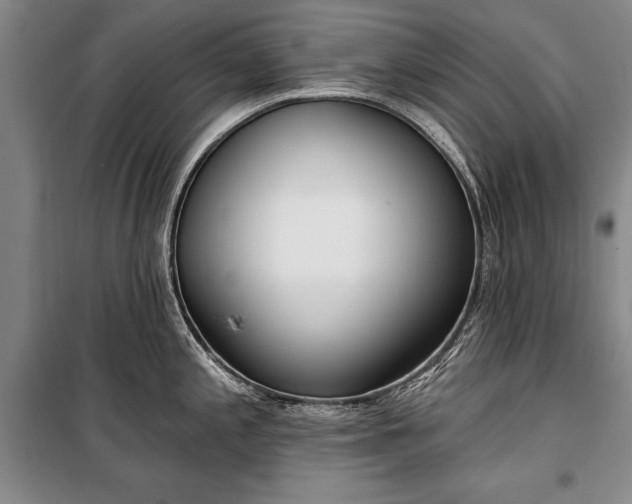 X0000100321197200806121056