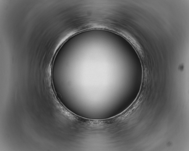 X0000100321198200806121056