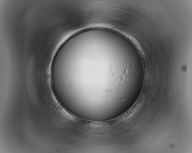 X0000100321199200806121056