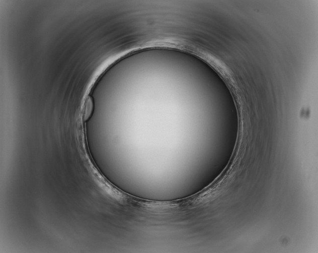 X0000100321200200806121056