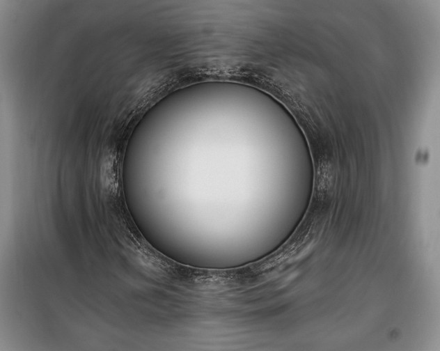 X0000100321202200806121056