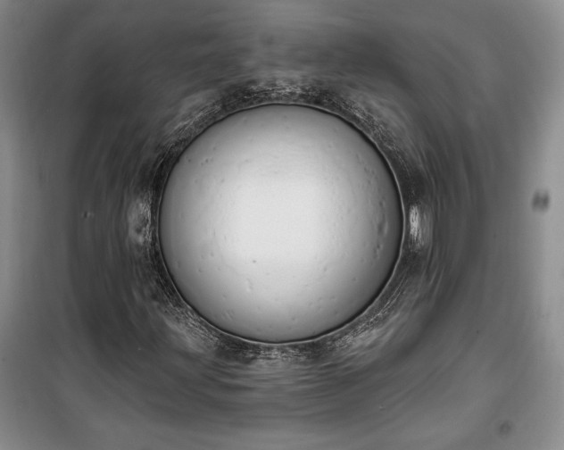 X0000100321203200806121056