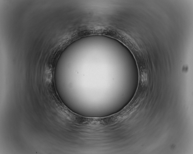 X0000100321204200806121056