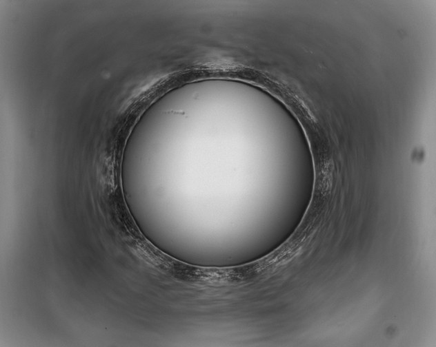 X0000100321205200806121056