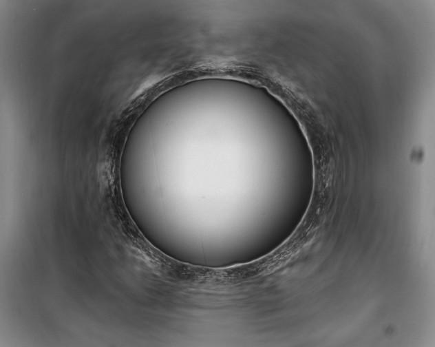 X0000100321206200806121056